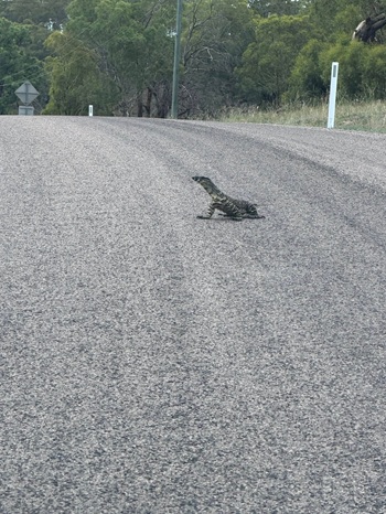 Getting Out of an Exclusive Contract