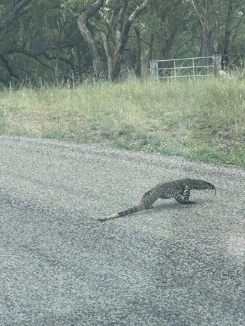 Getting Out of an Exclusive Contract